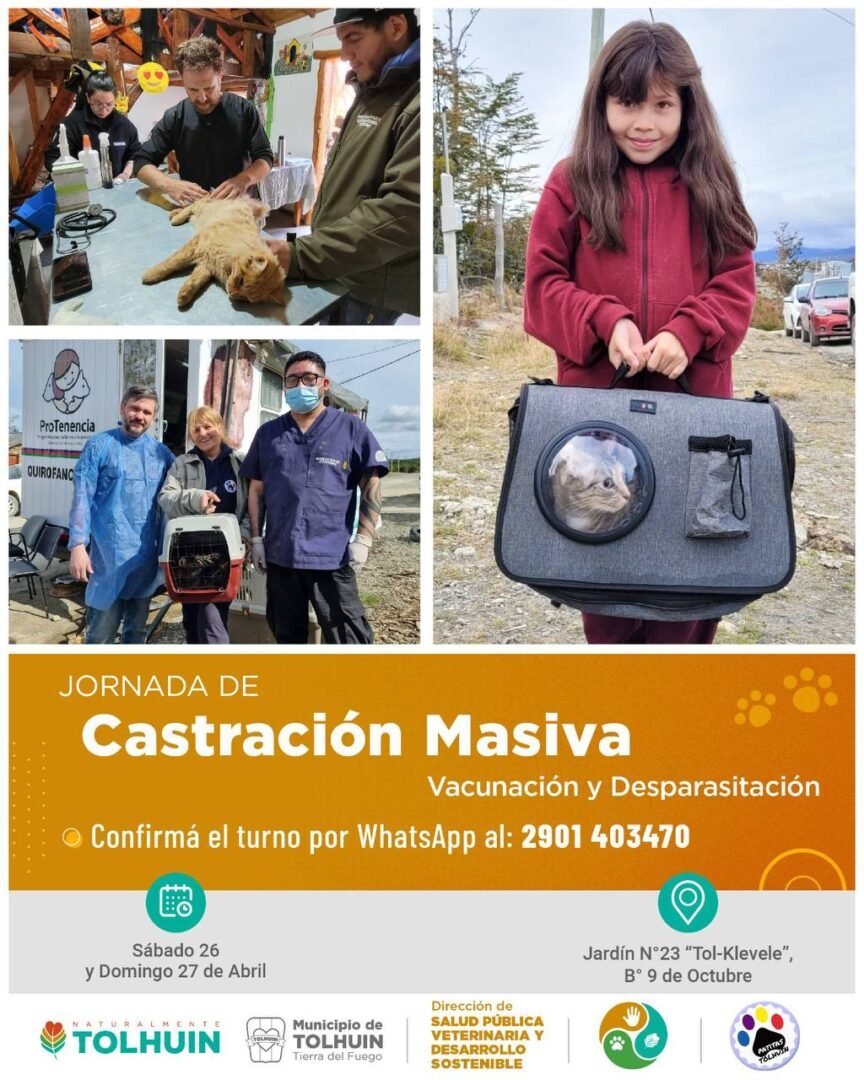 IMG_20250508_123600_024