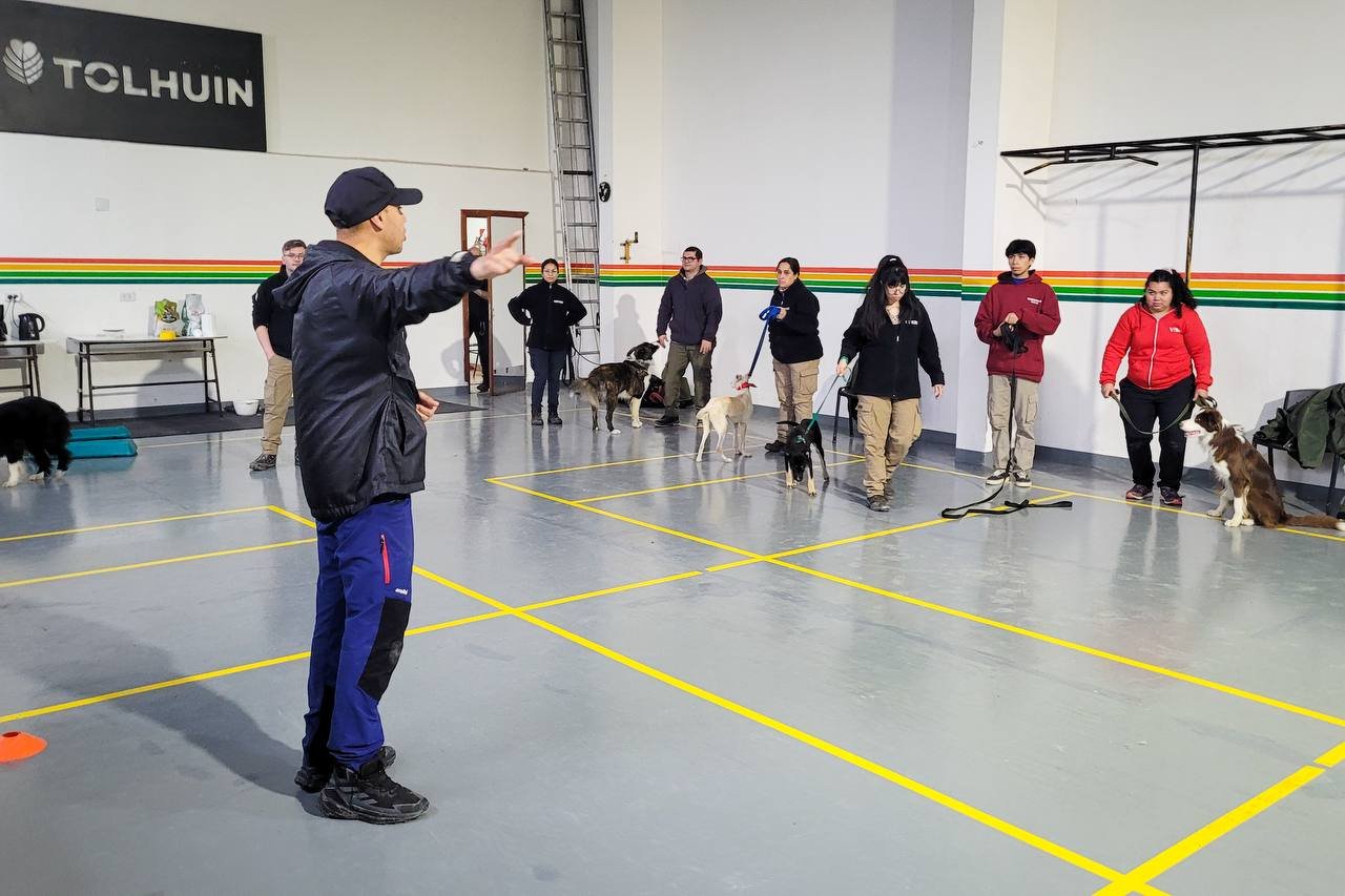 WhatsApp Image 2025-11-19 at 13.06.48