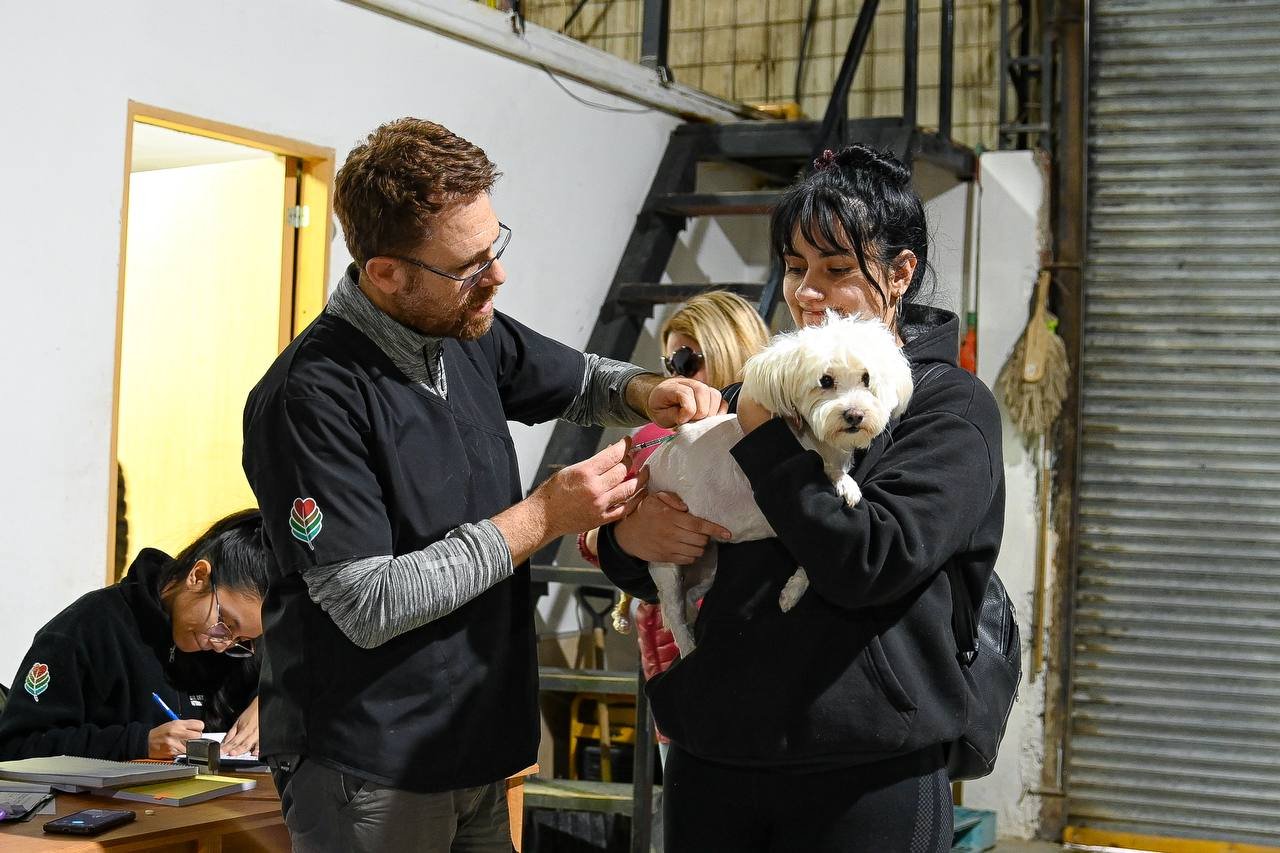 WhatsApp Image 2025-11-19 at 15.03.08