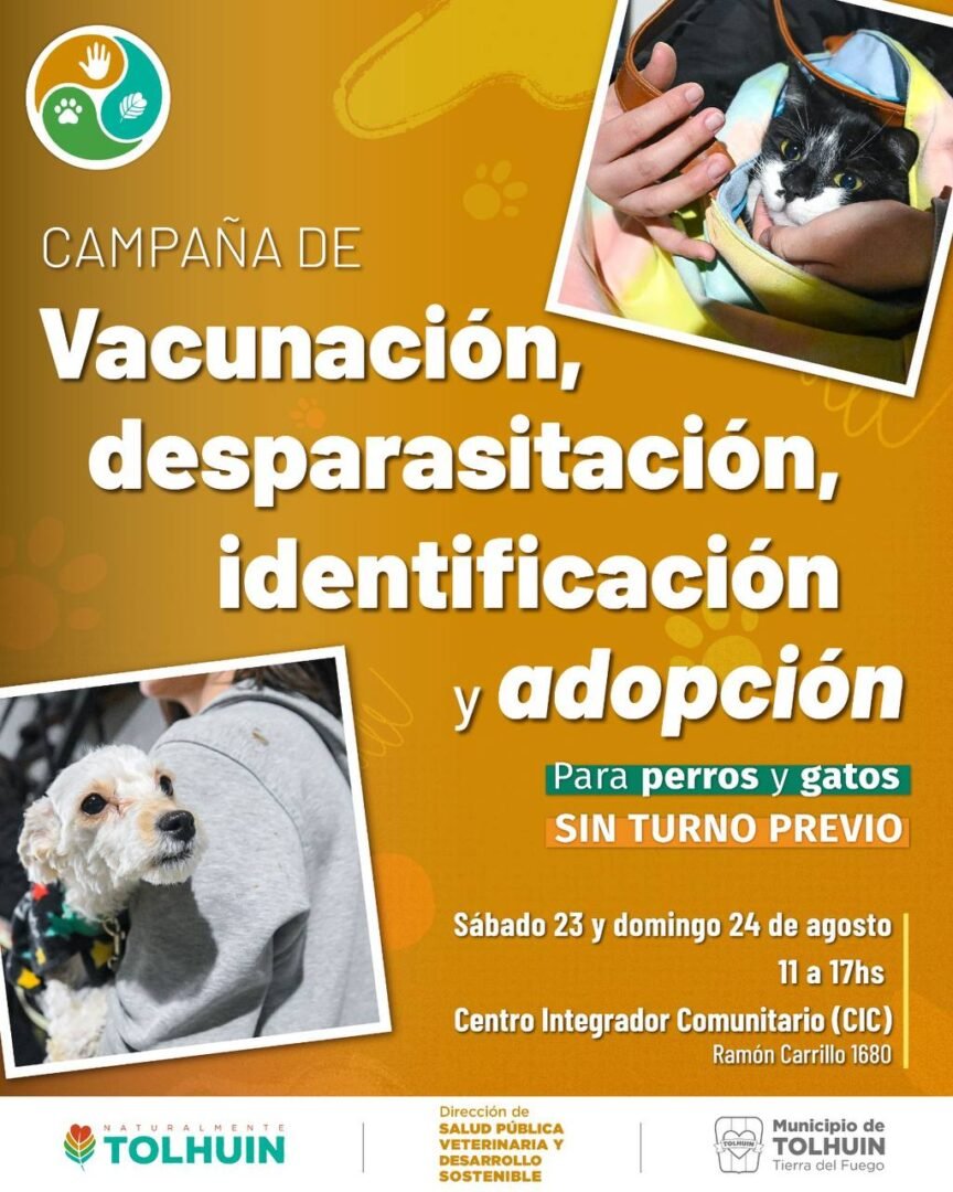 WhatsApp Image 2025-11-26 at 10.33.44