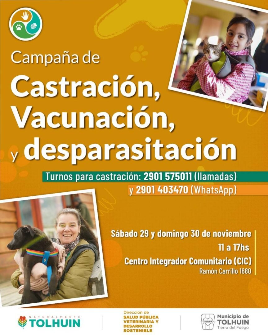 WhatsApp Image 2025-11-26 at 13.56.34