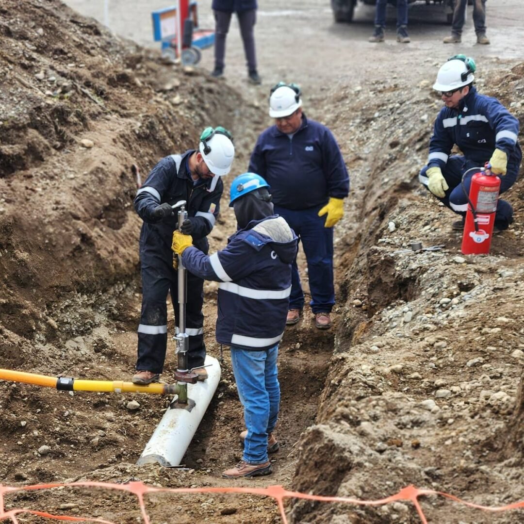 WhatsApp Image 2025-12-01 at 12.17.03