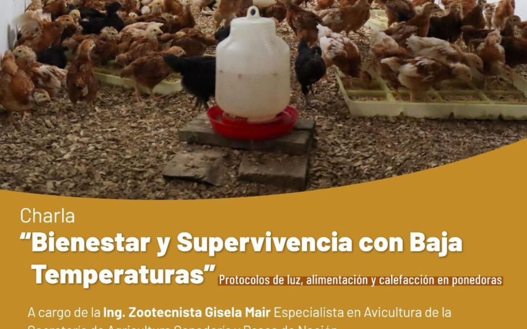 Charla sobre producción avícola en Tolhuin