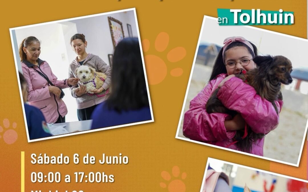 ¡Nueva jornada de vacunación, desparasitación, identificación y adopción responsable!